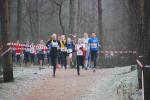 Soest081231010001_small.jpg (3698 Byte)