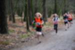 Eersel090118010160_small.jpg (3932 Byte)