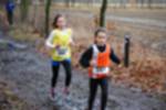 Eersel090118010311_small.jpg (3857 Byte)