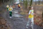 Eersel090118020011_small.jpg (3857 Byte)