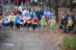 Eersel090118020122_small.jpg (3946 Byte)