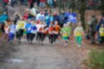 Eersel090118020123_small.jpg (3857 Byte)