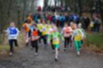 Eersel090118020128_small.jpg (3932 Byte)