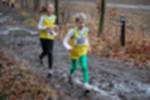 Eersel090118020163_small.jpg (3857 Byte)