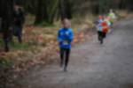 Eersel090118020195_small.jpg (3857 Byte)