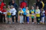 Eersel090118020247_small.jpg (3857 Byte)