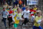 Eersel090118020259_small.jpg (3857 Byte)