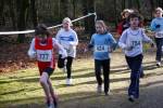 Venray090125010013_small.jpg (3698 Byte)