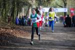 Venray090125010021_small.jpg (3698 Byte)