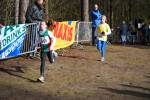 Venray090125010063_small.jpg (3857 Byte)