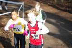 Venray090125010071_small.jpg (3857 Byte)