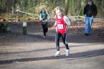 Venray090125010123_small.jpg (3857 Byte)