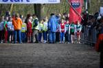 Venray090125010171_small.jpg (3857 Byte)