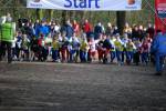 Venray090125010176_small.jpg (3932 Byte)