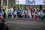 Venray090125010179_small.jpg (3857 Byte)