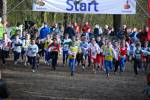 Venray090125010182_small.jpg (3946 Byte)