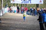 Venray090125010191_small.jpg (3857 Byte)