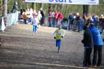 Venray090125010192_small.jpg (3932 Byte)