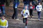 Venray090125010207_small.jpg (3857 Byte)