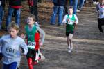 Venray090125010213_small.jpg (3698 Byte)