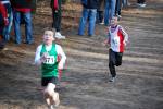 Venray090125010215_small.jpg (3857 Byte)