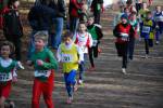 Venray090125010219_small.jpg (3857 Byte)