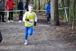 Venray090125010239_small.jpg (3857 Byte)