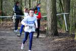 Venray090125010244_small.jpg (3932 Byte)