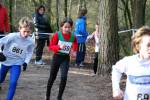 Venray090125010246_small.jpg (3946 Byte)