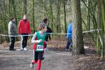 Venray090125010252_small.jpg (3932 Byte)