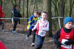 Venray090125010259_small.jpg (3857 Byte)