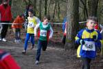 Venray090125010260_small.jpg (3932 Byte)