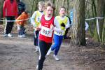 Venray090125010263_small.jpg (3857 Byte)