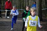 Venray090125010265_small.jpg (3698 Byte)