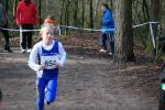 Venray090125010266_small.jpg (3946 Byte)