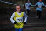 Venray090125010286_small.jpg (3946 Byte)