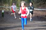 Venray090125010295_small.jpg (3857 Byte)