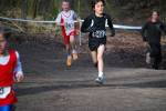 Venray090125010296_small.jpg (3932 Byte)