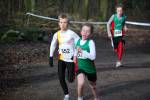 Venray090125010322_small.jpg (3946 Byte)