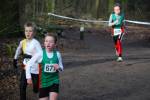 Venray090125010323_small.jpg (3857 Byte)