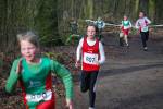 Venray090125010329_small.jpg (3698 Byte)