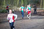 Venray090125010332_small.jpg (3932 Byte)