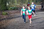 Venray090125010335_small.jpg (3857 Byte)