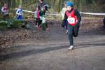 Venray090125010339_small.jpg (3857 Byte)