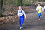 Venray090125010344_small.jpg (3932 Byte)