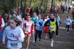 Venray090125020005_small.jpg (3698 Byte)