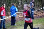 Venray090125020014_small.jpg (3946 Byte)