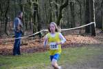 Venray090125020016_small.jpg (3932 Byte)