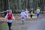 Venray090125020022_small.jpg (3946 Byte)