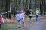 Venray090125020023_small.jpg (3857 Byte)